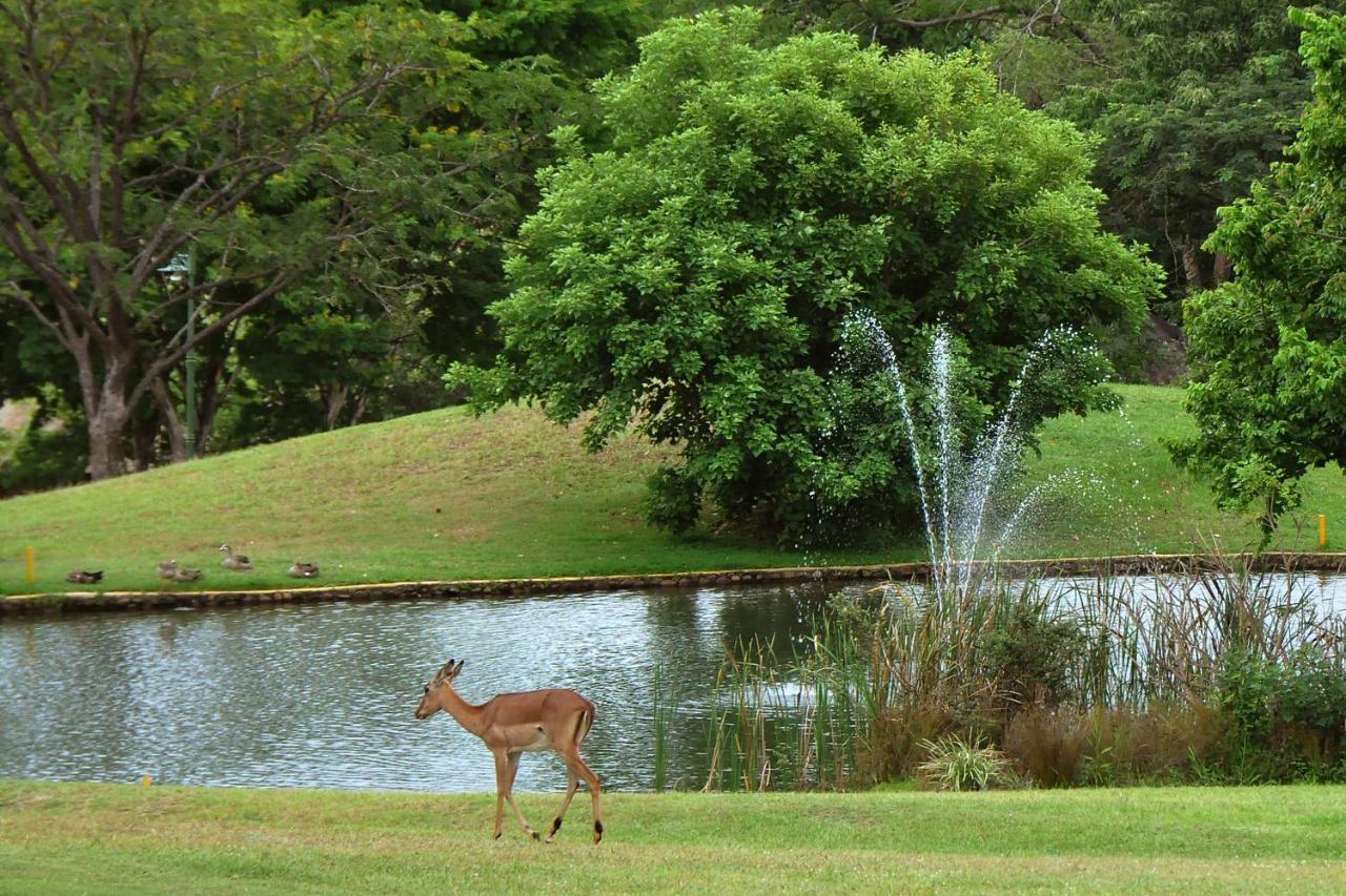 Kruger Park Lodge Unit No. 608A Hazyview Eksteriør billede